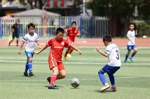 揭秘温格高,法国队世界,杯夺冠,乐鱼体育官网,乐鱼体育APP,LeYu,Sports,乐鱼体育平台