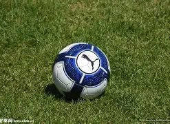 巅峰六连胜,爆发,韩篮甲强势,乐鱼体育官网,乐鱼体育APP,LeYu,Sports,乐鱼体育平台