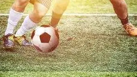 乐鱼体育 资讯 083017 rol