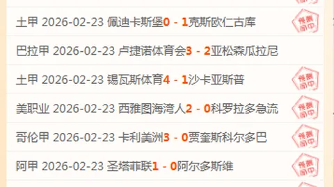 “总统连任后辞职，总理接任”